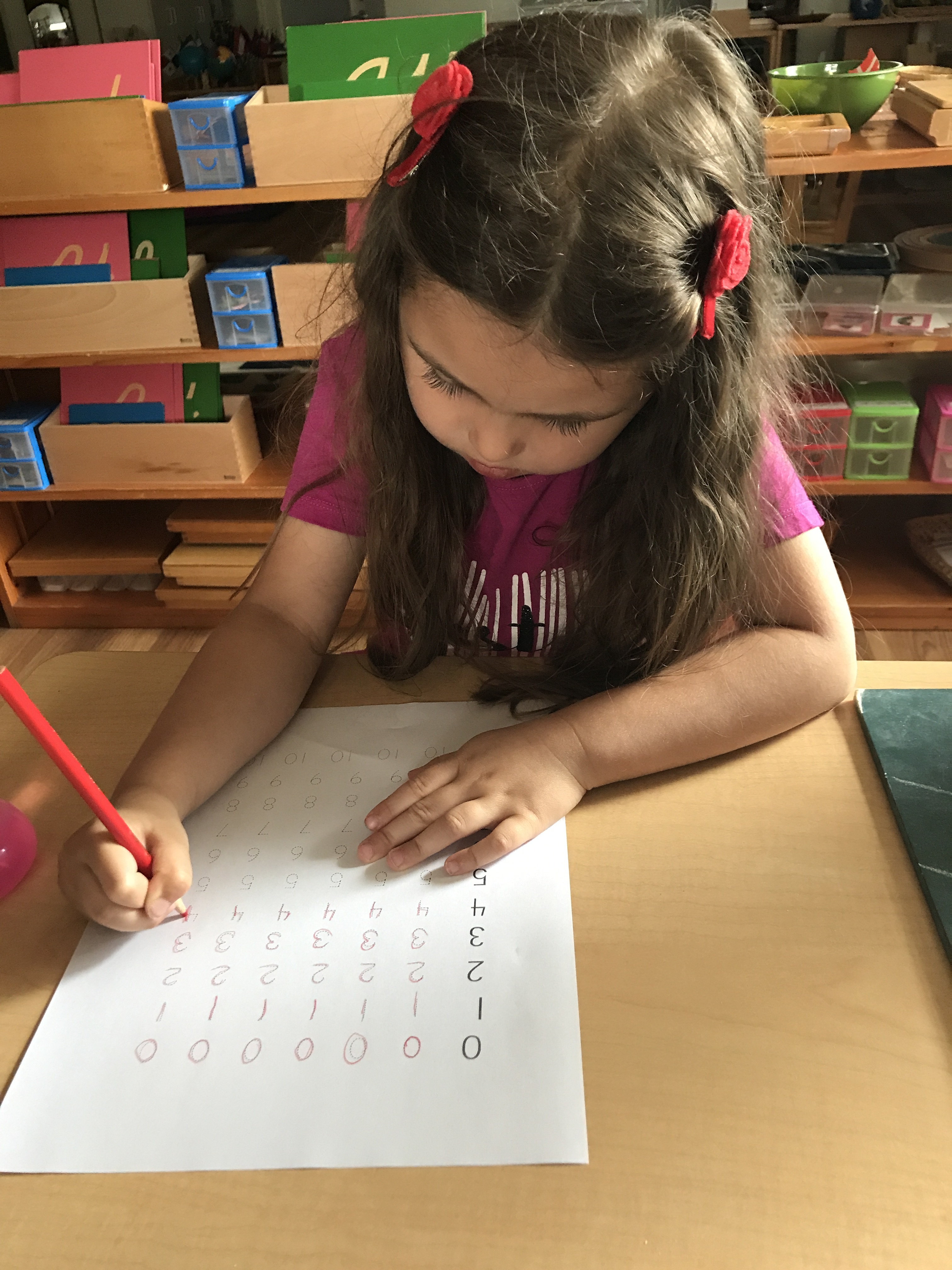 Primary writing numbers IMG_1966 girl writing